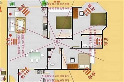 明财位放什么植物|财位摆放哪些植物旺财？18种旺财的绿植，放对位置，改变房间风水